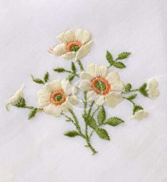 Wild Flowers