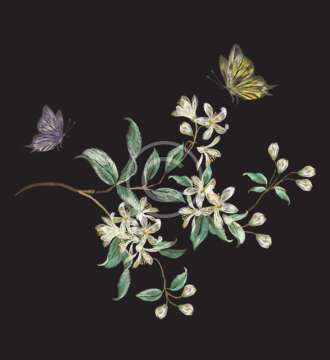 White Flowers on Dark
